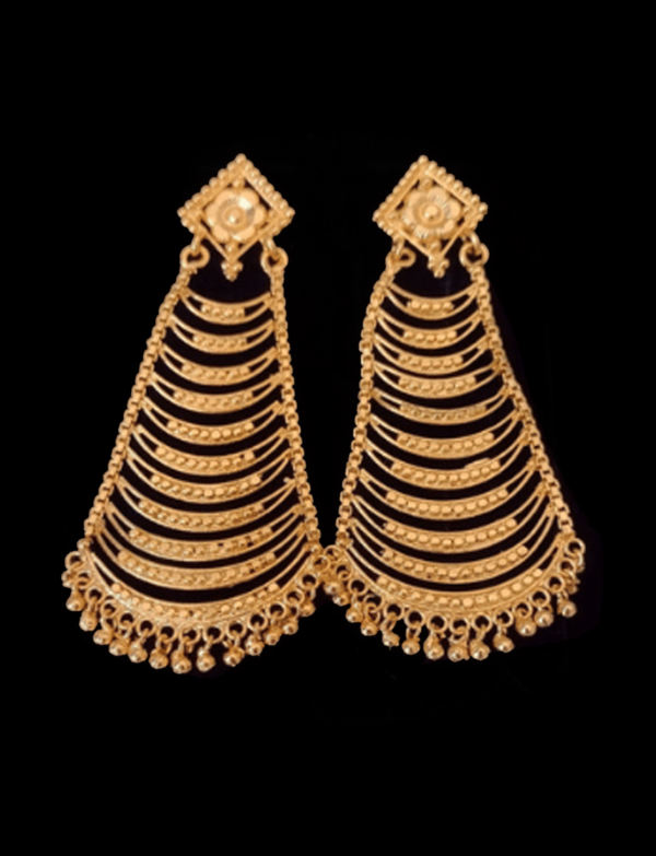 Gold covering earrings-2